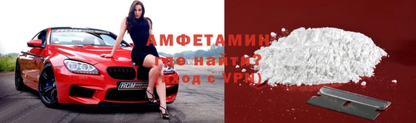 прущие грибы Куйбышев
