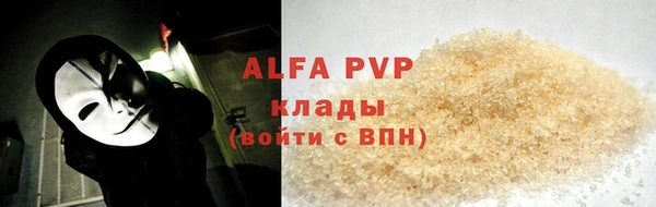 прущие грибы Куйбышев