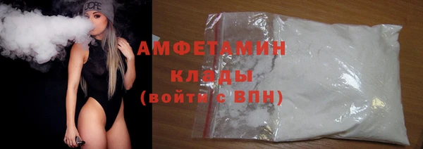 прущие грибы Куйбышев