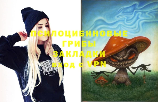 хмурый Кукмор