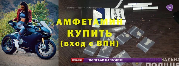 прущие грибы Куйбышев