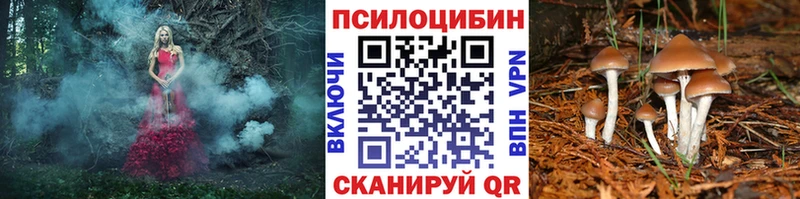 Псилоцибиновые грибы мухоморы  blacksprut вход  Моршанск 