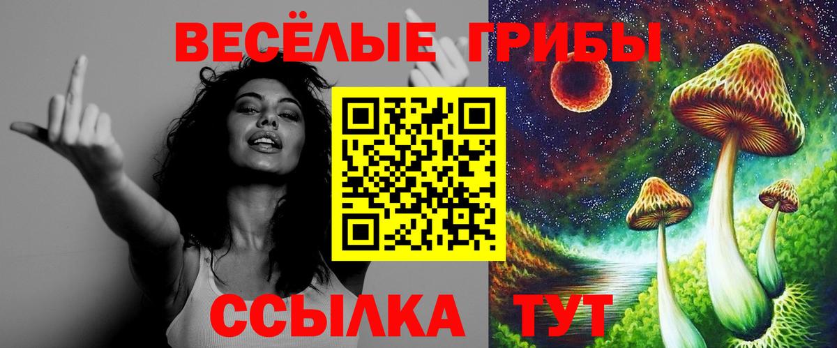 Псилоцибиновые грибы GOLDEN TEACHER  Моршанск 