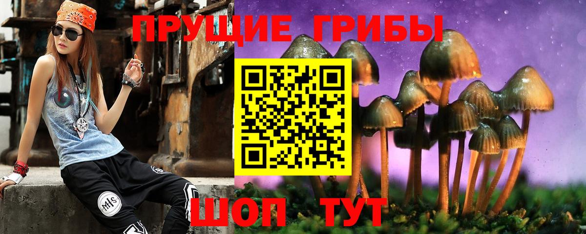 Псилоцибиновые грибы Psilocybe Моршанск