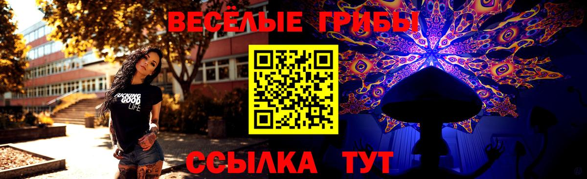 Моршанск  где найти наркотики  Вход с VPN  Псилоцибиновые грибы GOLDEN TEACHER 